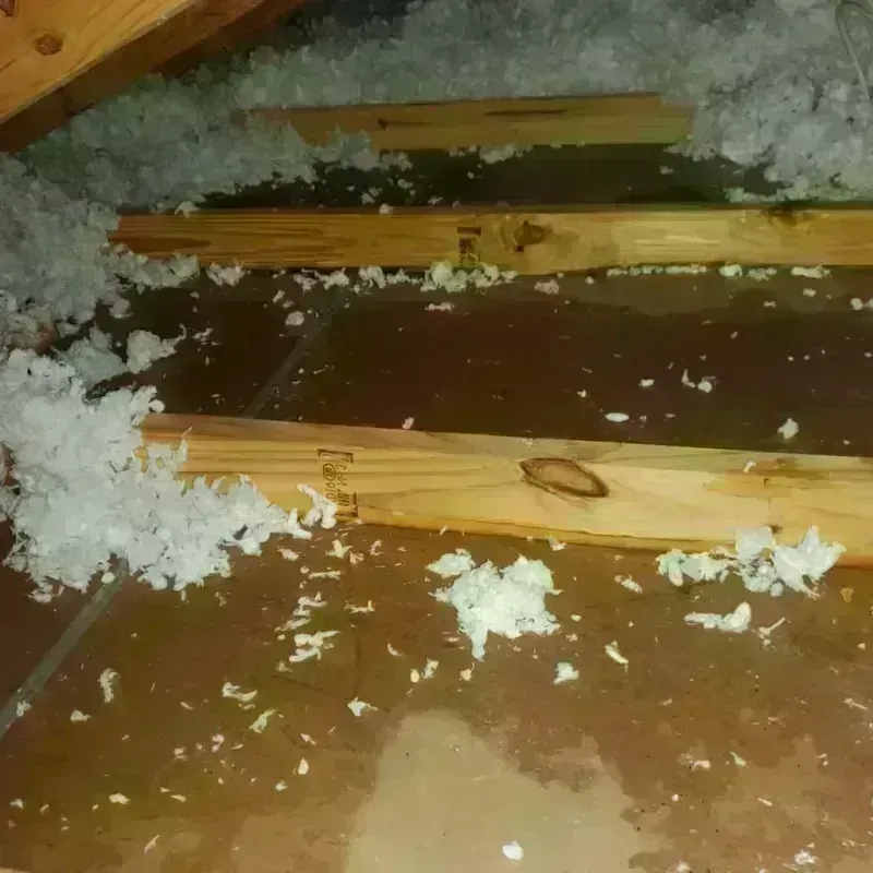 Attic Water Damage in Schuyler, NE