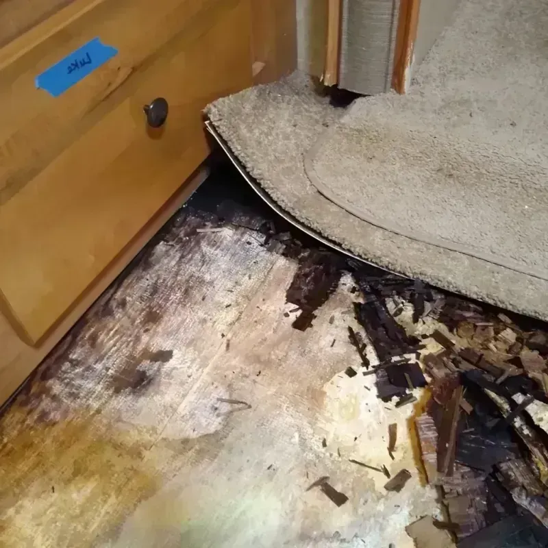 Best Wood Floor Water Damage Service in Schuyler, NE